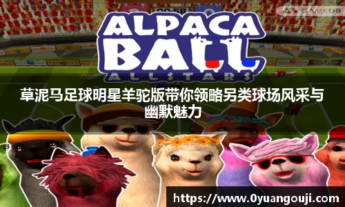 草泥马足球明星羊驼版带你领略另类球场风采与幽默魅力